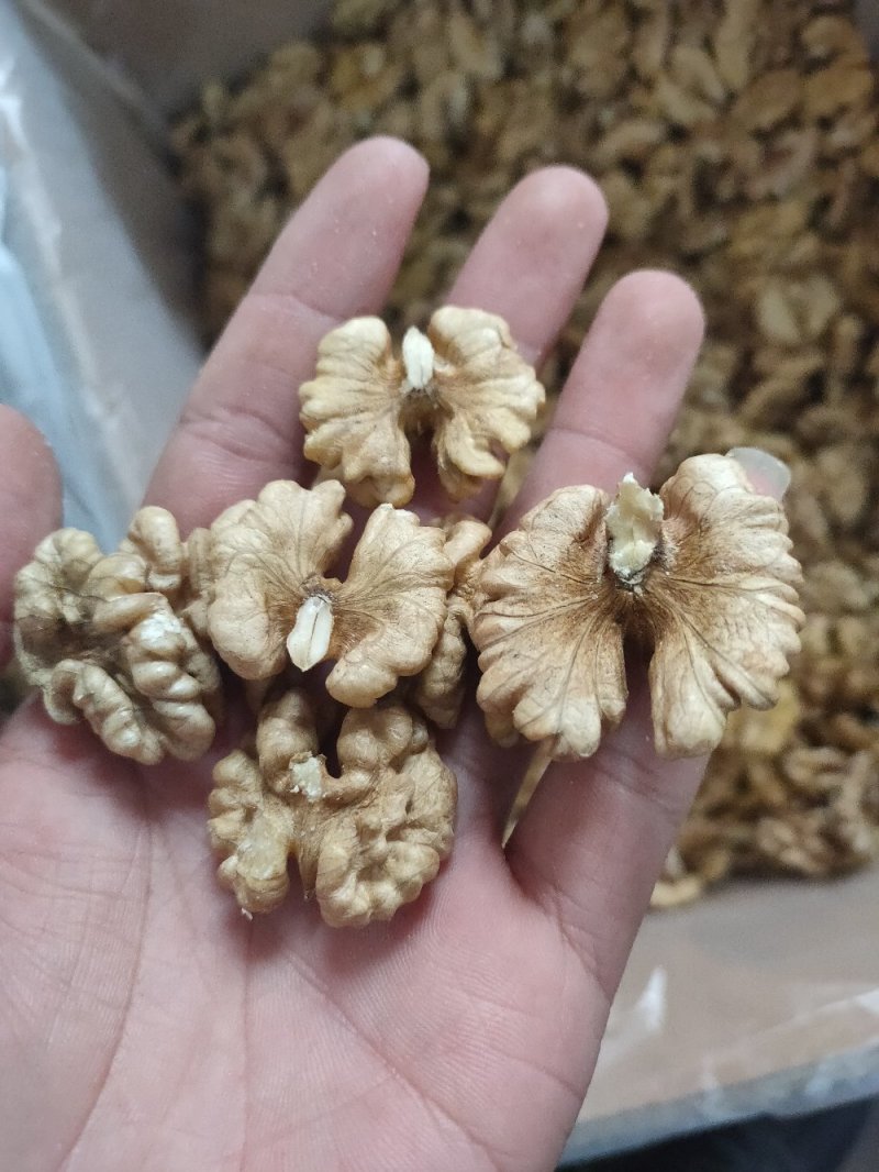 云南一路尖白核桃仁新货核桃仁（厂家直销批发）