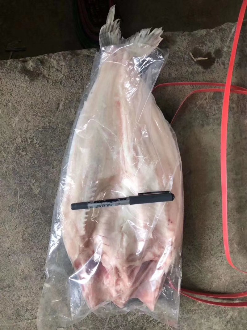 开背鱼质量好价格低非常棒，口感嫩香有劲道杠杠滴
