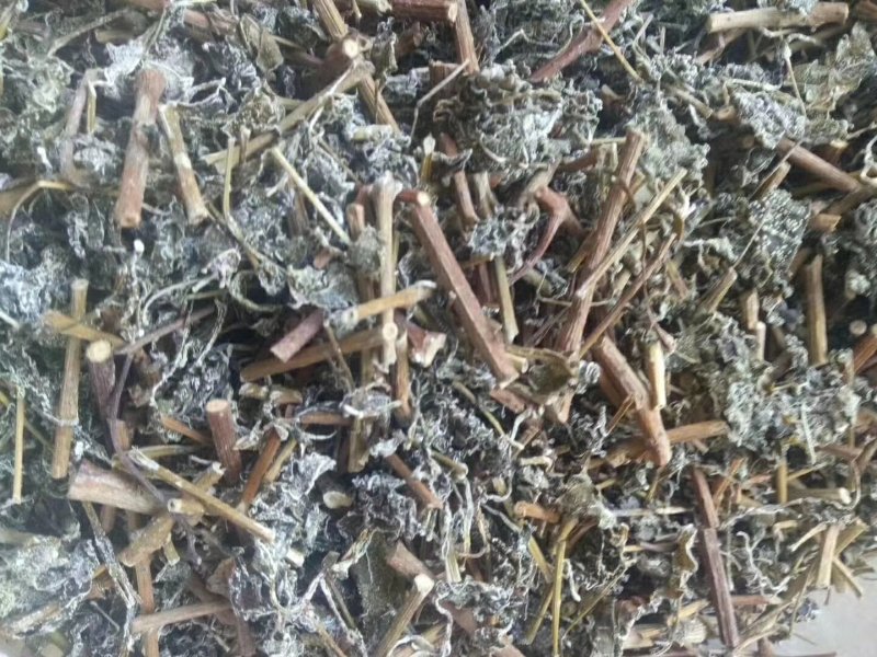 藤茶