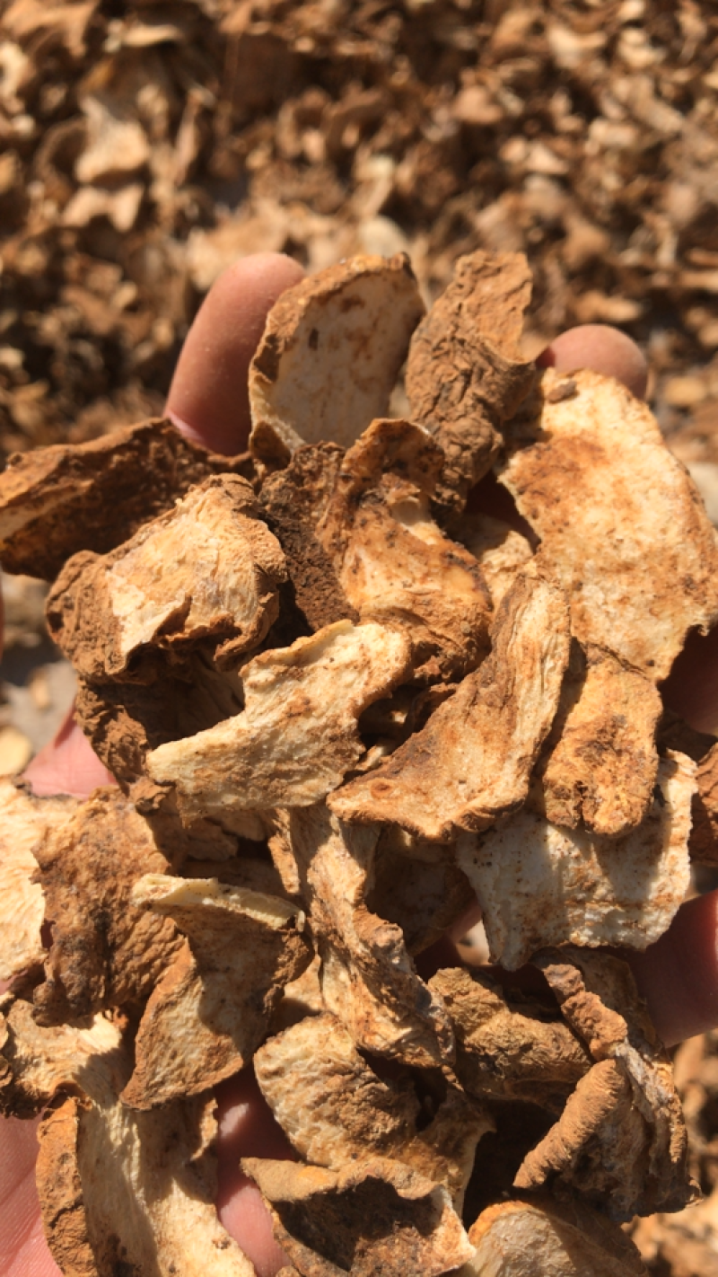 黄精片，人工砍，厚片