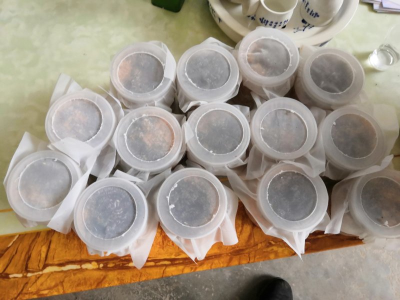 黑水虻虫卵
