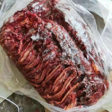 蒙古马肉马肋条新鲜速冻