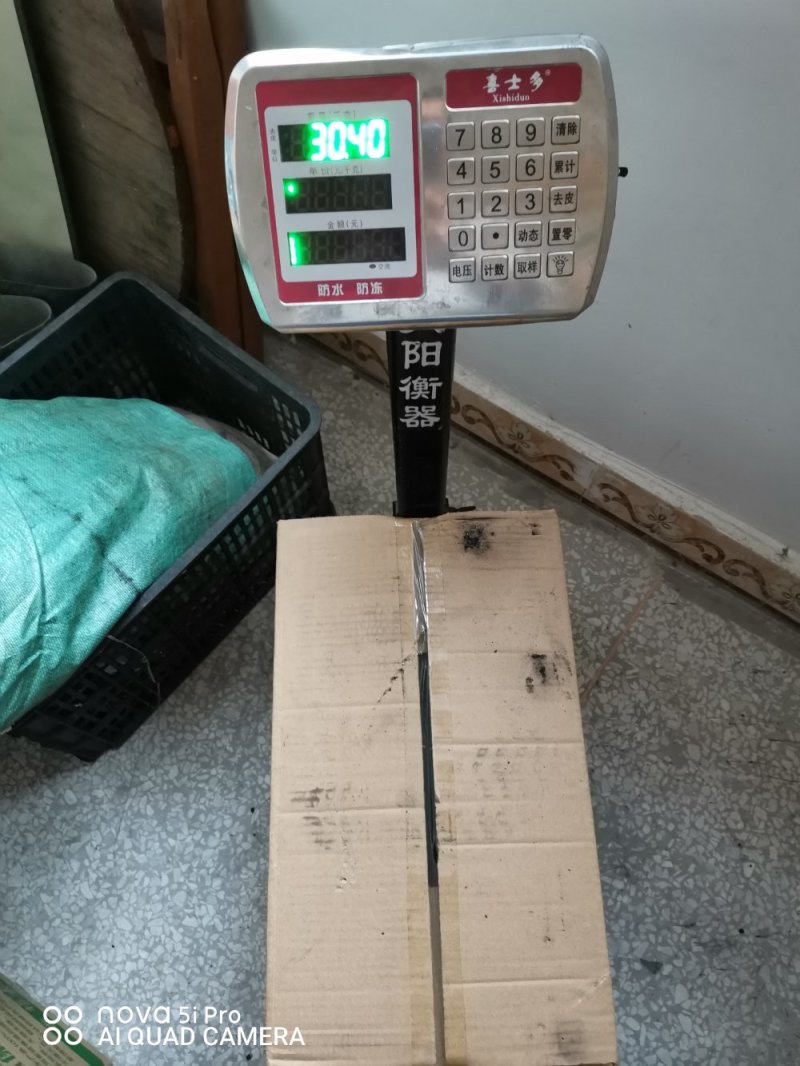 机制环保木炭