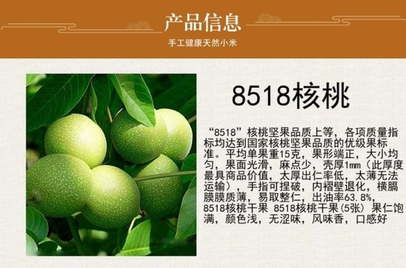优质核桃果树嫁接苗8518香玲9818薄壳现挖现发包技术