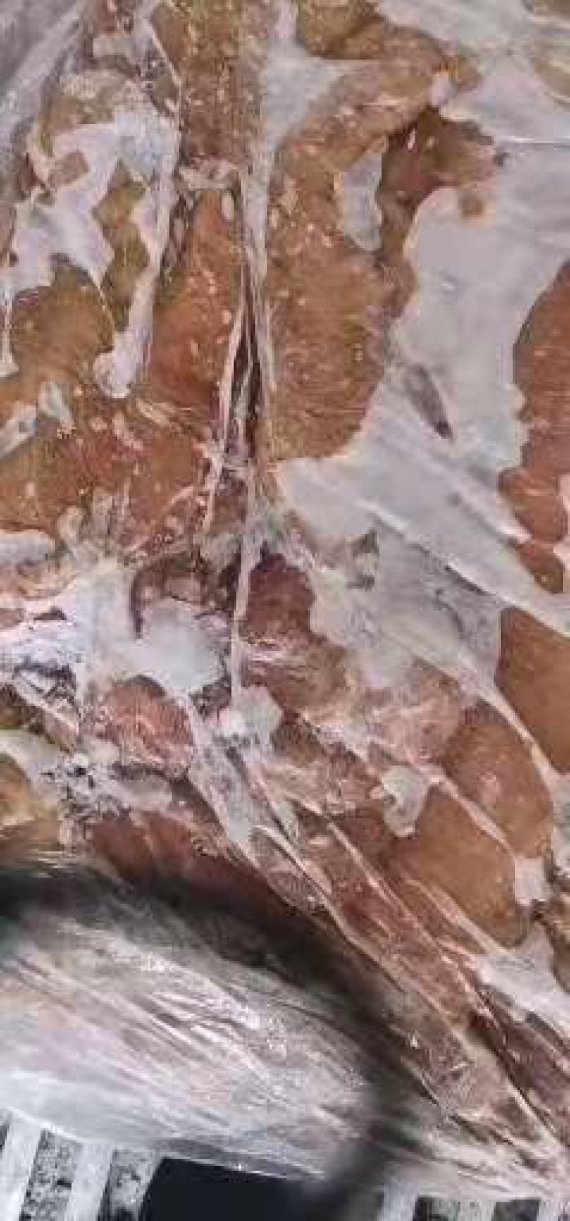 蒙古马肉，马板肠自己清洗无渣