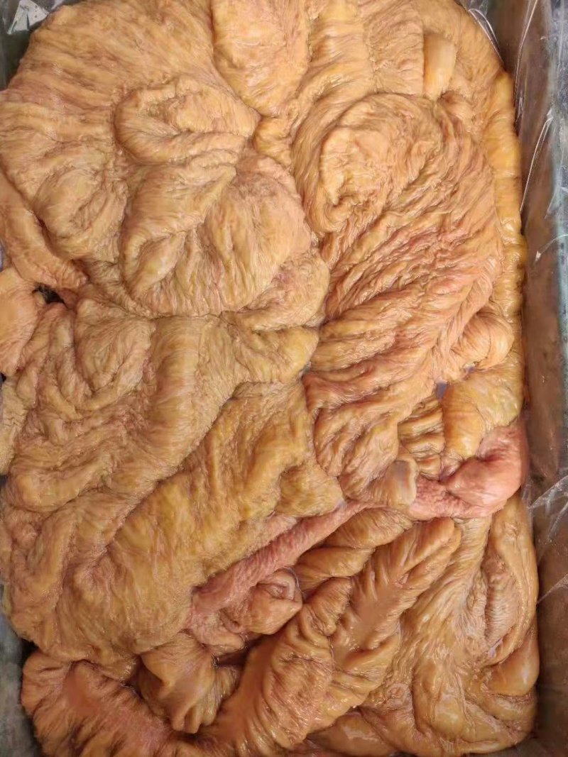 蒙古马肉，马板肠自己清洗无渣