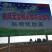 优质绿化苗五角枫产地直销大量供应规格全质量好