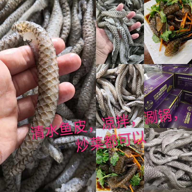 清水鱼皮，质量好，价格低，罗非鱼原料，，，，