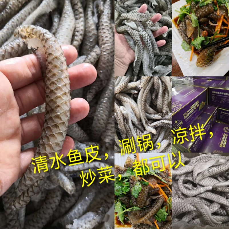 清水鱼皮，质量好，价格低，罗非鱼原料，，，，