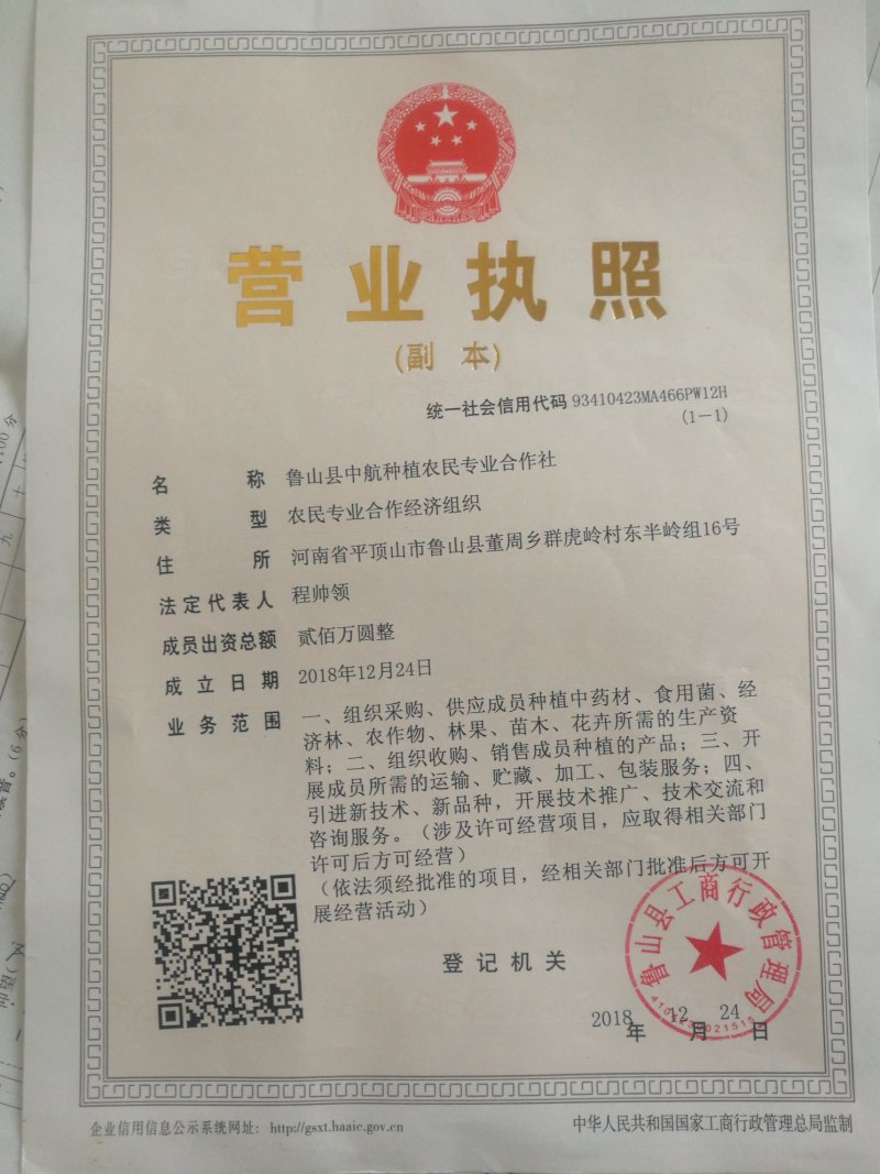 艾叶2020纯野生中前期机压包大货艾叶
