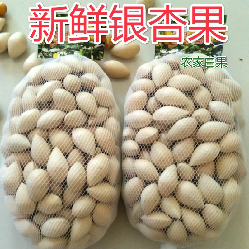 银杏果，白果，农户直销
