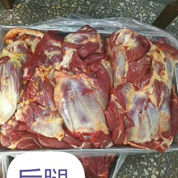 马肉新鲜马后腿肉不打水不带皮质量保证一手货源。