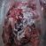 长年批发零售，本地牛连心肉，照片实物拍摄质量保证