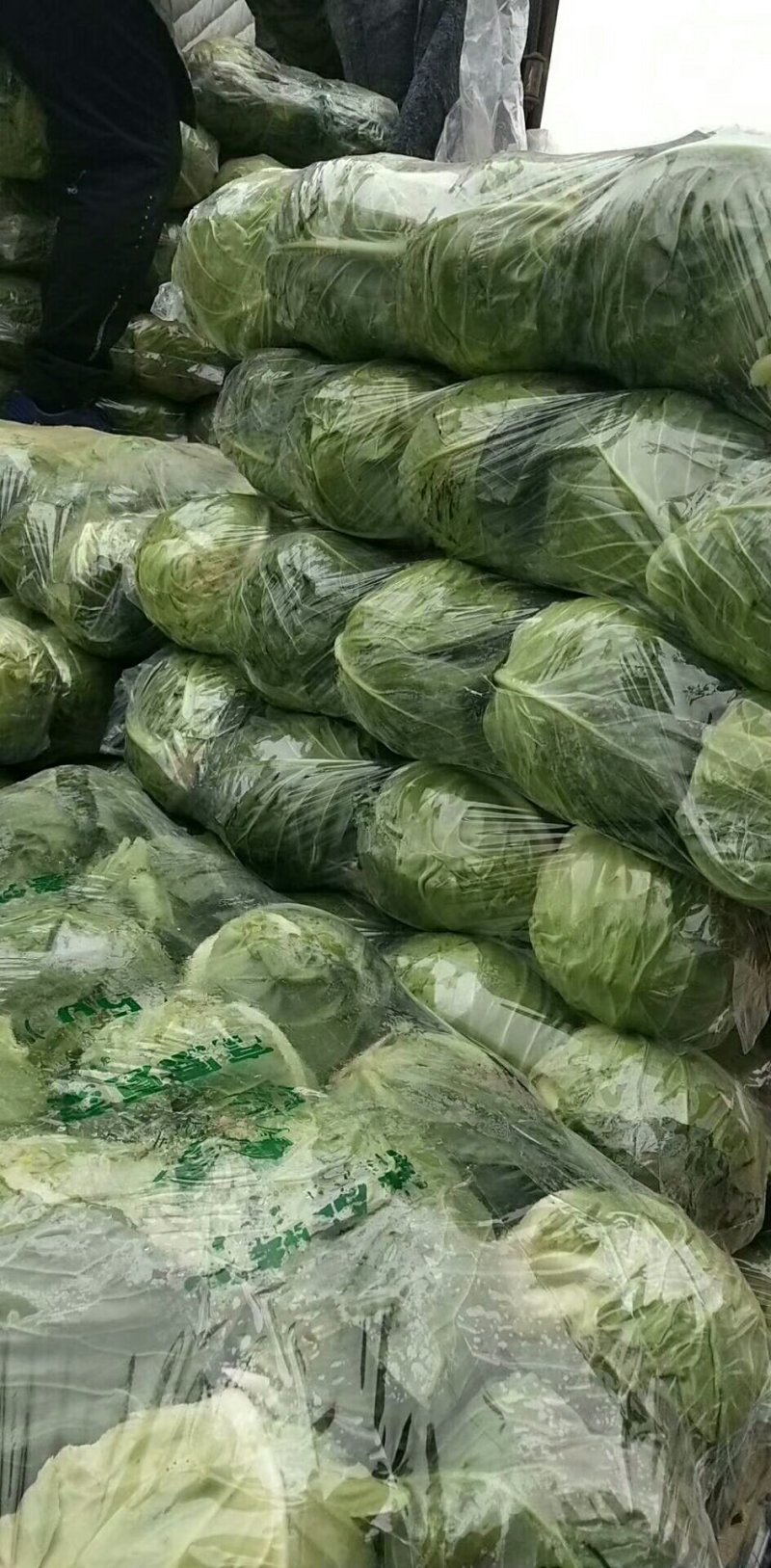 湖北甘蓝旺旺包菜，1斤到2斤，基地直供，质优价廉