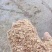 现货供应喷浆玉米皮,牛羊饲料大片玉米纤维,家禽饲料玉米糠