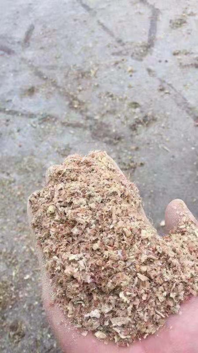 现货供应喷浆玉米皮，牛羊饲料大片玉米纤维，家禽饲料玉米糠