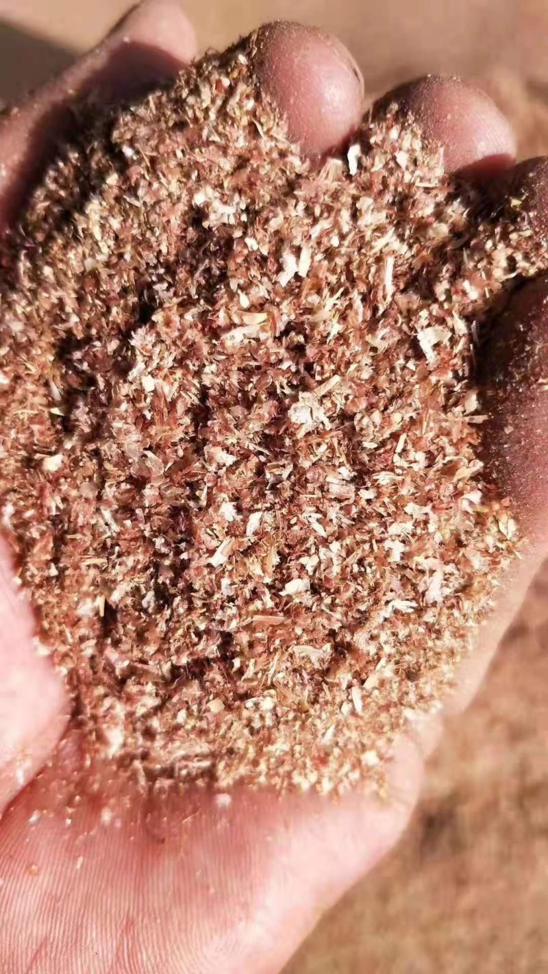 热销植物性牛羊饲料黄色玉米蛋白饲料喷浆玉