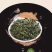 长白山丁香茶暖胃护胃养胃清新口气能抑制幽门螺杆菌