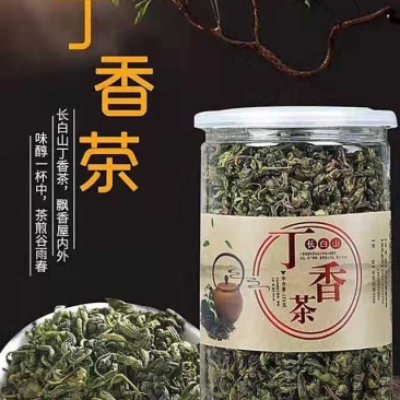 长白山丁香茶暖胃护胃养胃清新口气能抑制幽门螺杆菌