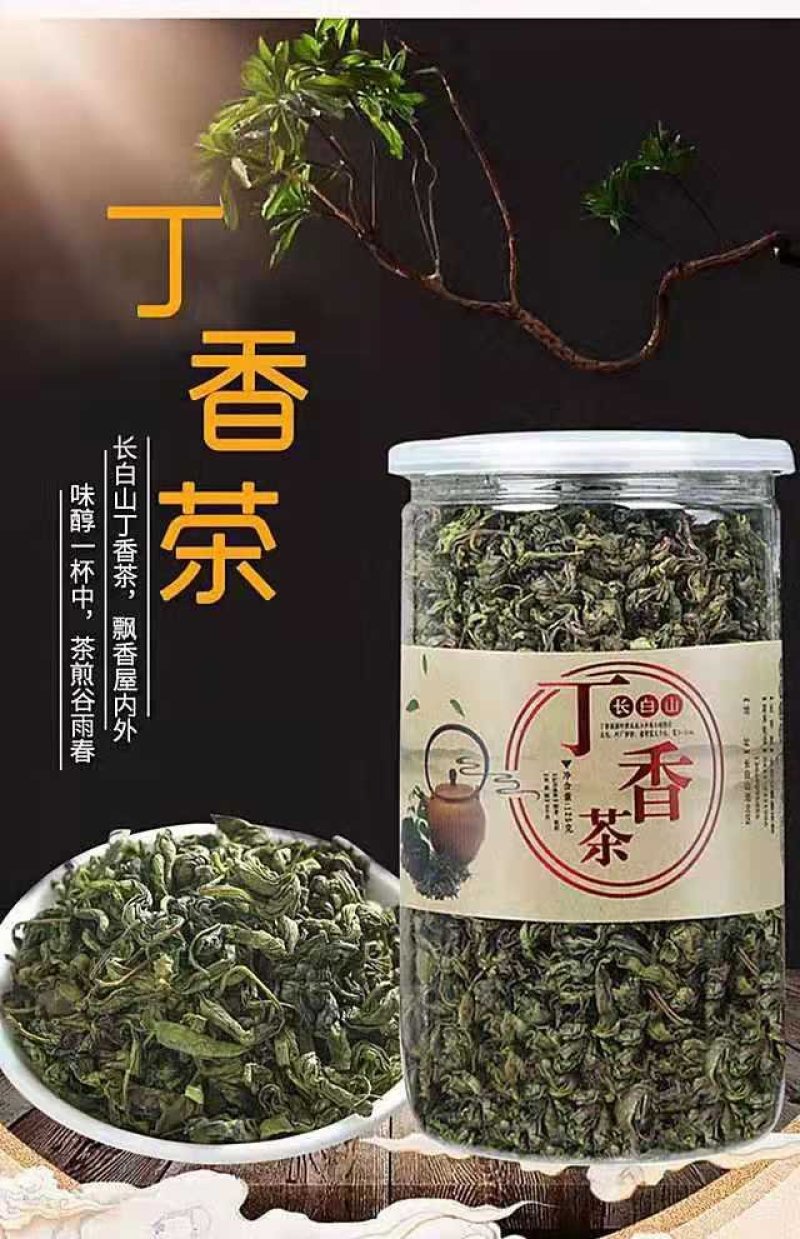 长白山丁香茶暖胃护胃养胃清新口气能抑制幽门螺杆菌