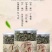 长白山丁香茶暖胃护胃养胃清新口气能抑制幽门螺杆菌