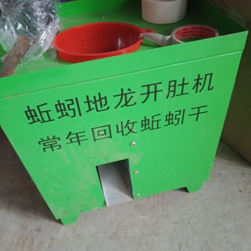 昆虫类
