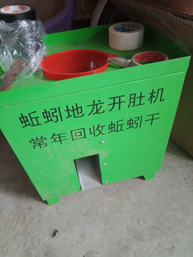 昆虫类