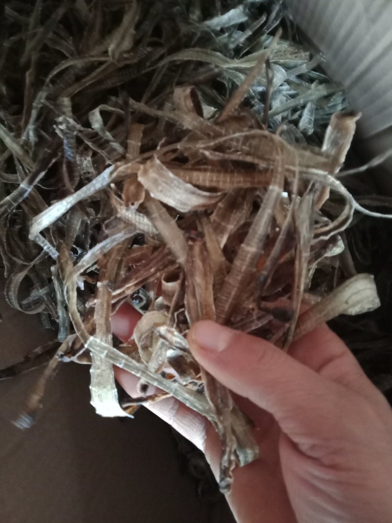 昆虫类