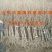 公斤石榴苗公斤石榴树苗南北方种植石榴苗品种石榴苗树苗