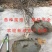 泰山红石榴苗品种石榴苗南北方种植石榴苗包品种包结果