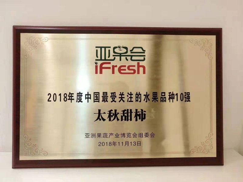 广西甜柿大秋品种0.5米直径1公分成活率高