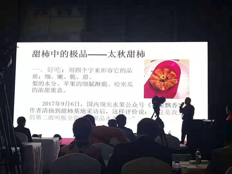 广西甜柿大秋品种0.5米直径1公分成活率高