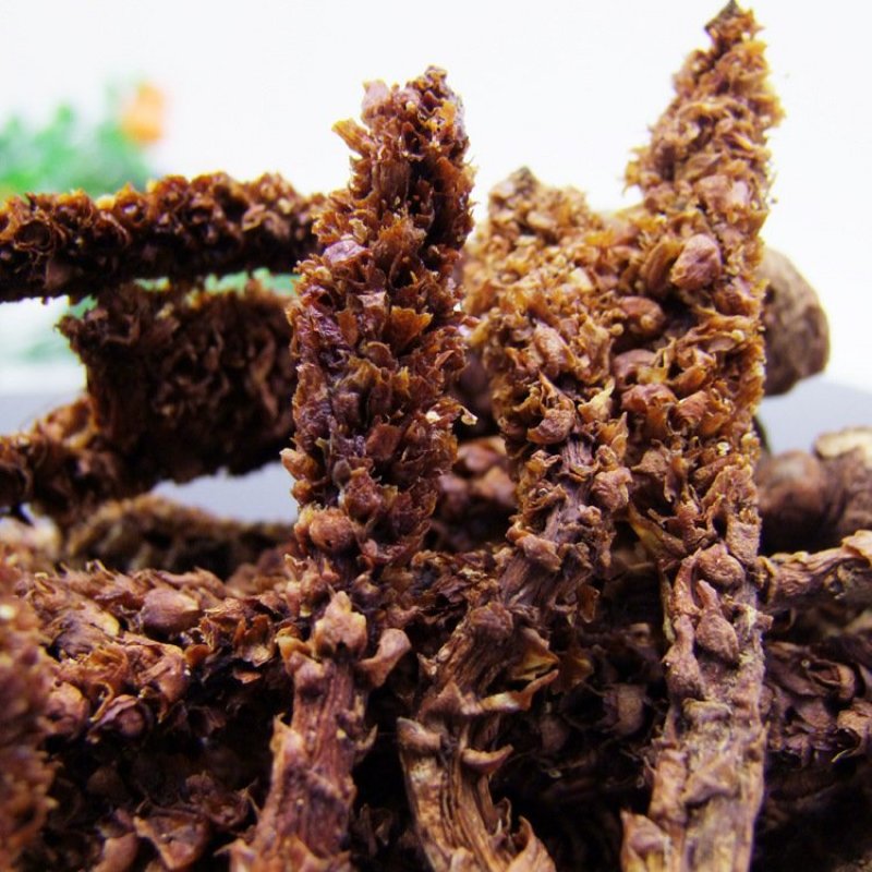 不老草野生干货整棵草苁蓉东北不老草批发零售冷背中药材