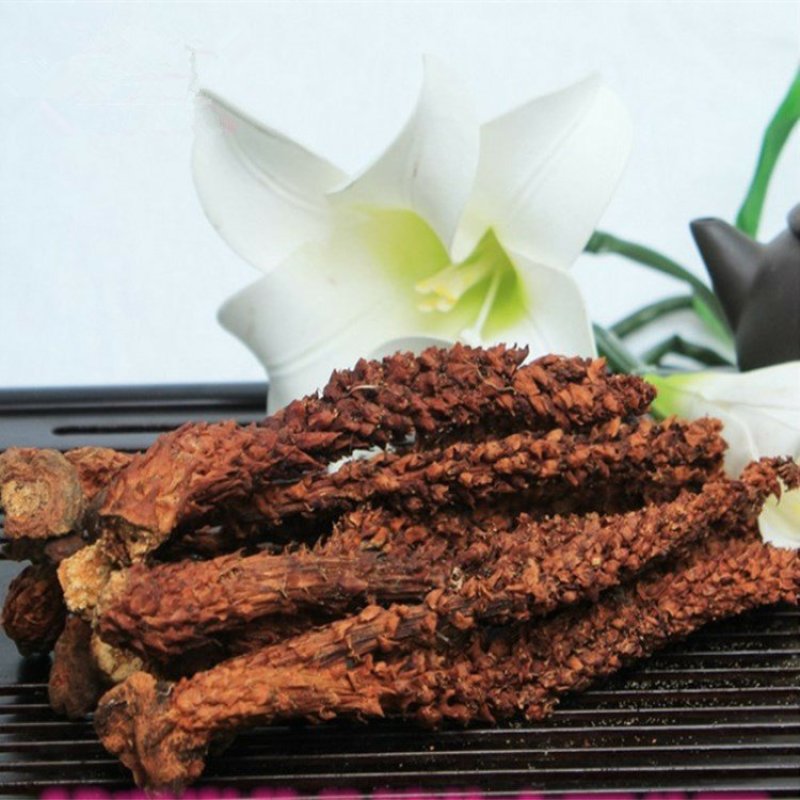 不老草野生干货整棵草苁蓉东北不老草批发零售冷背中药材