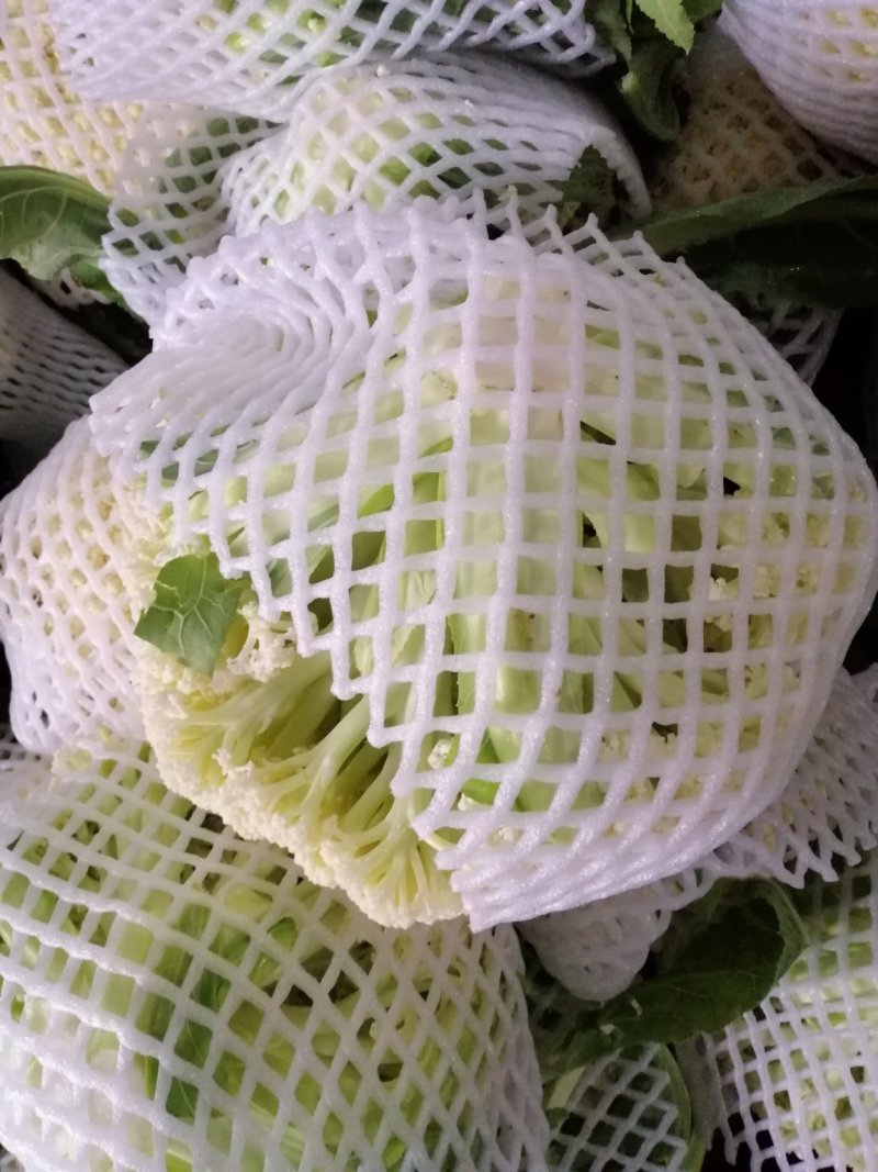 实花松花大量上市，提供各种包装，代办代发，发货各地市场