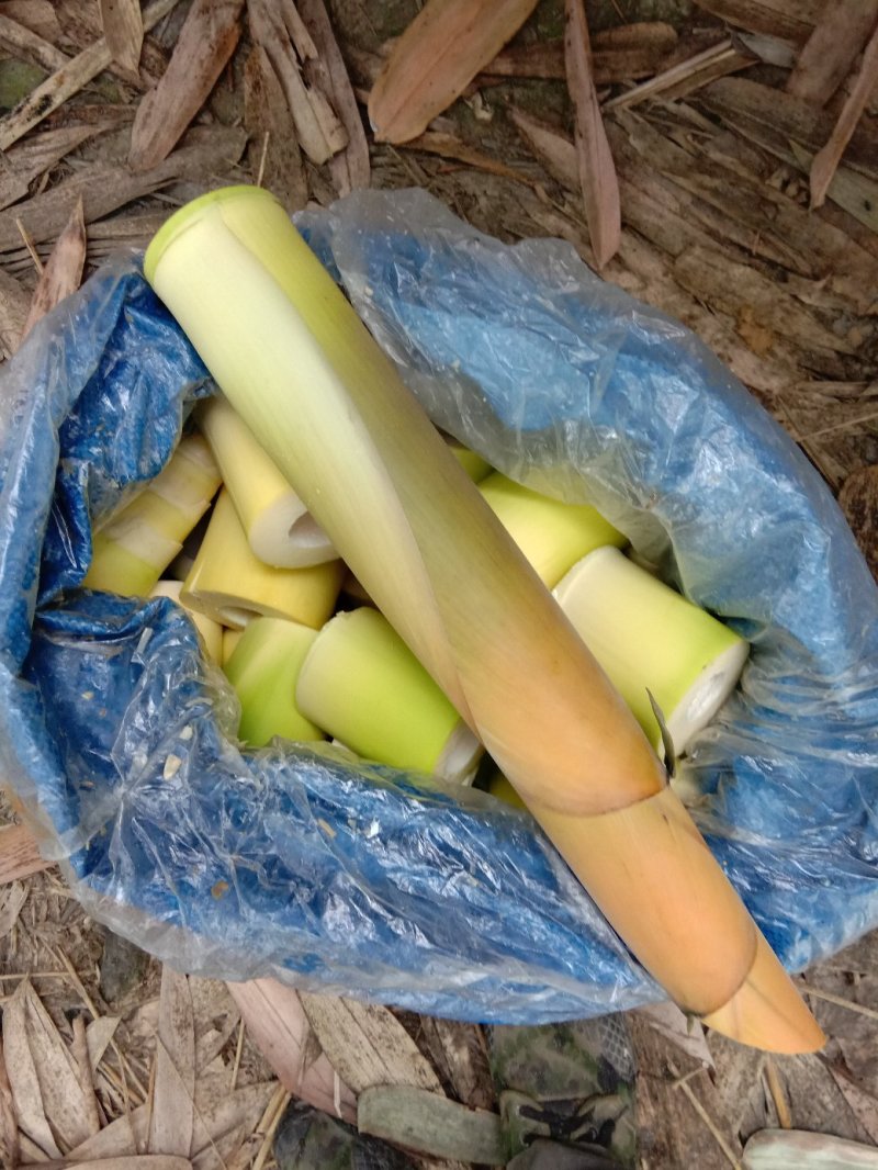 笋尖，笋干，英德麻竹笋干，一级笋干