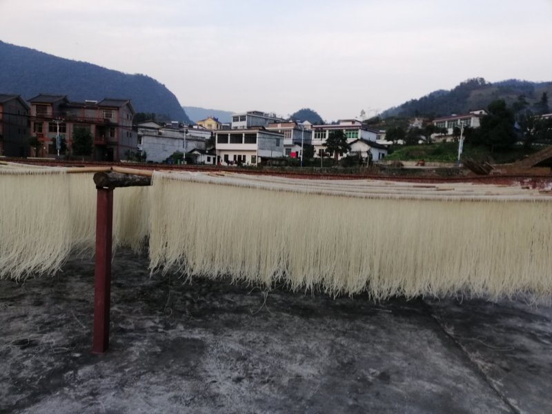 红薯粉条