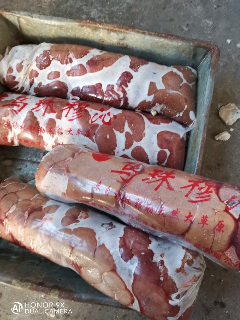 长年批发零售，内蒙古锡林浩特市散养牛，牛腰