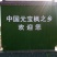 优质绿化苗五角枫产地直销大量供应规格全质量好