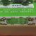桑葚！新鲜桑葚！广东桑，无籽大十苗，