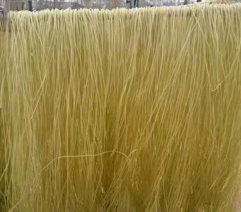 【聚便宜】小粉皮红薯粉皮紫薯粉皮粉条五斤包邮供货
