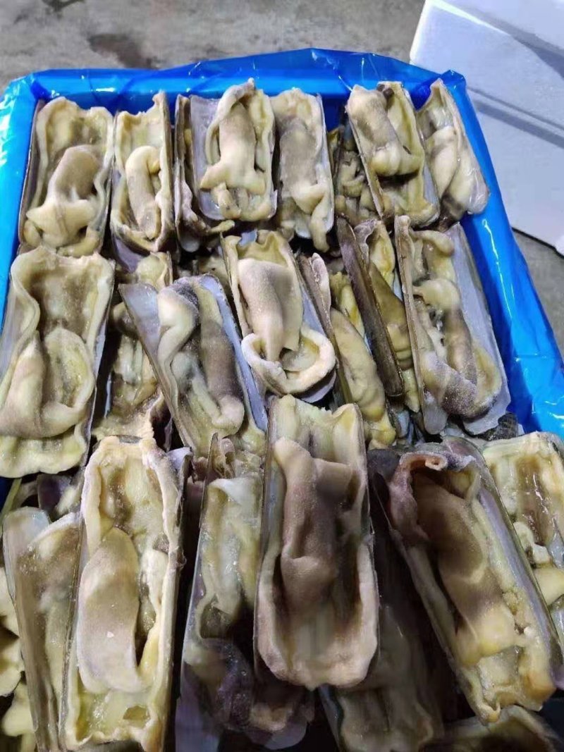 蛏子开片蛏子无冰无水
