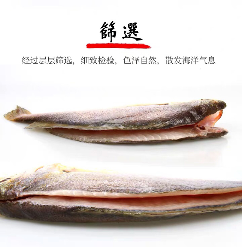 霞浦海鲜大黄鱼黄花鱼黄瓜鱼