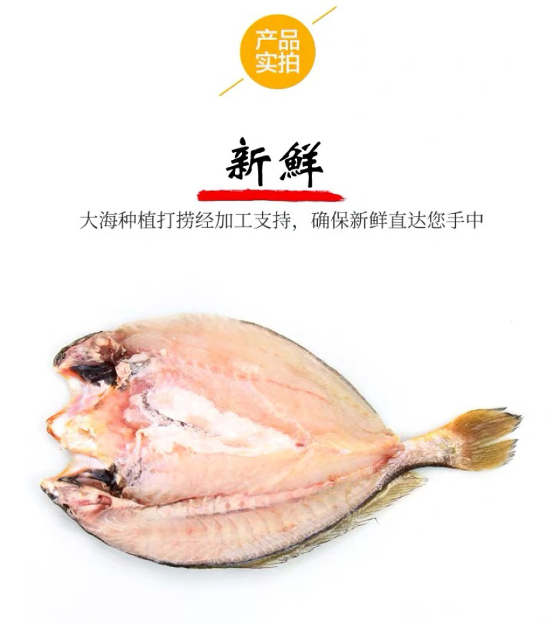 霞浦海鲜大黄鱼黄花鱼黄瓜鱼