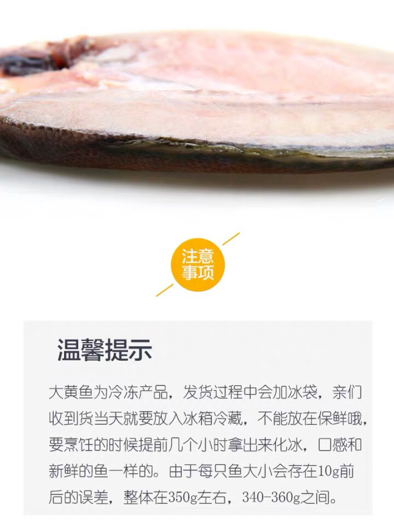 霞浦海鲜大黄鱼黄花鱼黄瓜鱼