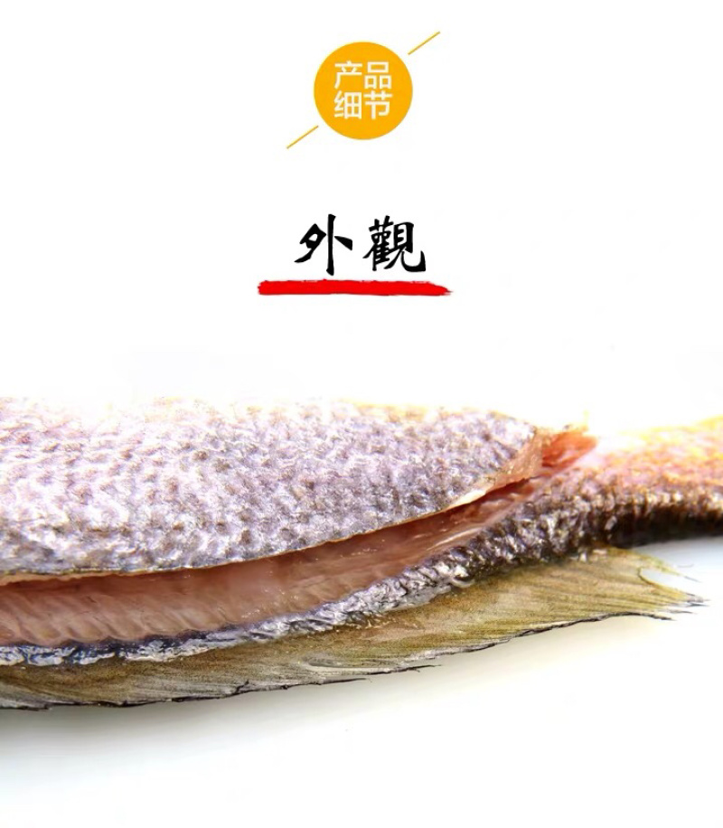 霞浦海鲜大黄鱼黄花鱼黄瓜鱼