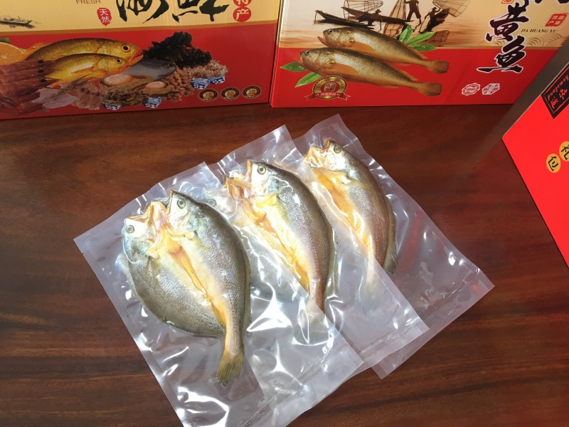 霞浦海鲜大黄鱼黄花鱼黄瓜鱼