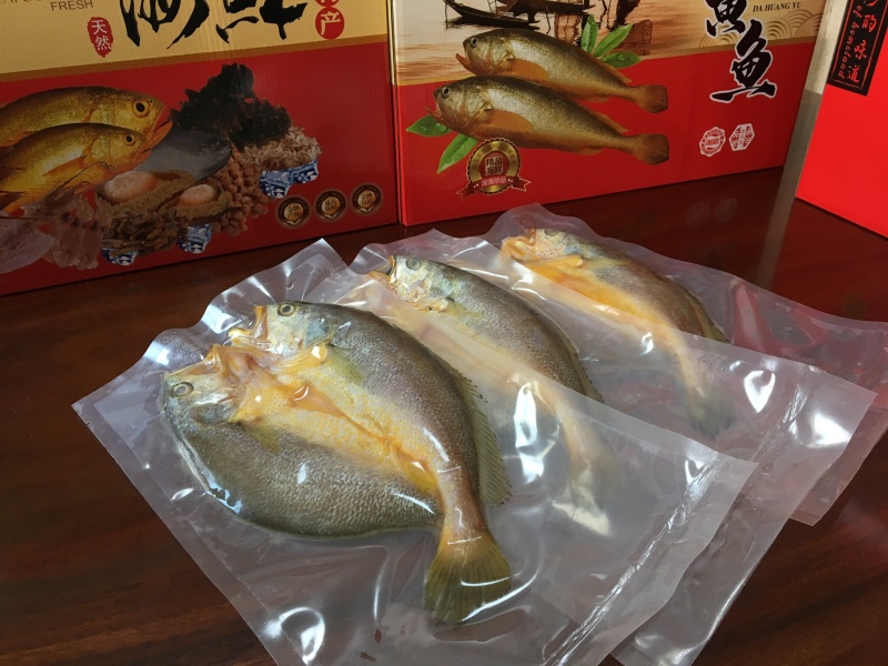 霞浦海鲜大黄鱼黄花鱼黄瓜鱼