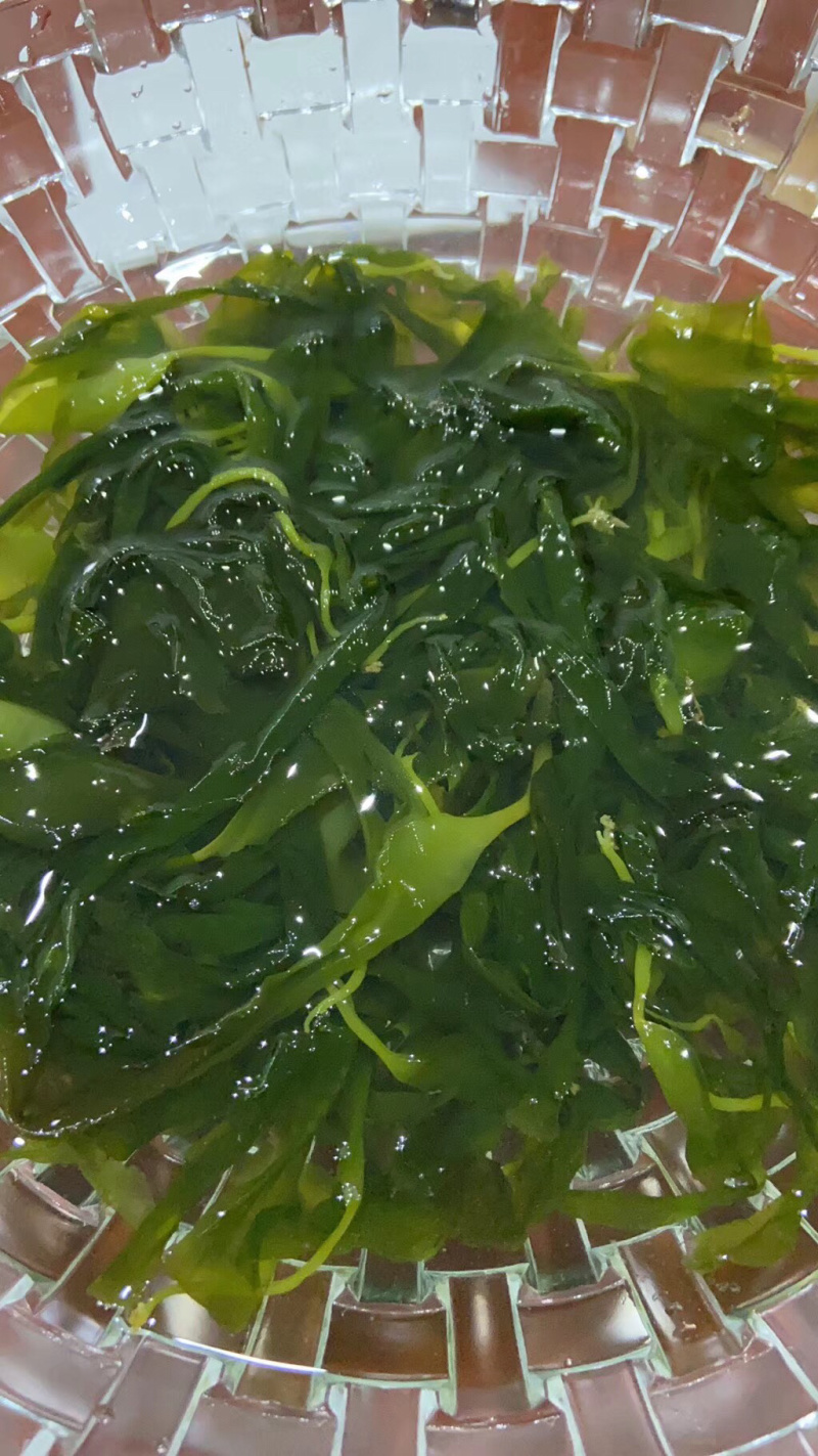 霞浦海带苗海带嫩苗火锅搭档