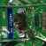 霞浦海带苗海带嫩苗火锅搭档